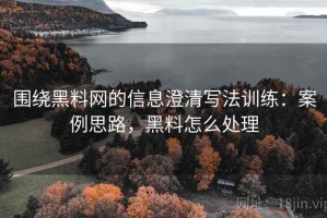 围绕黑料网的信息澄清写法训练：案例思路，黑料怎么处理