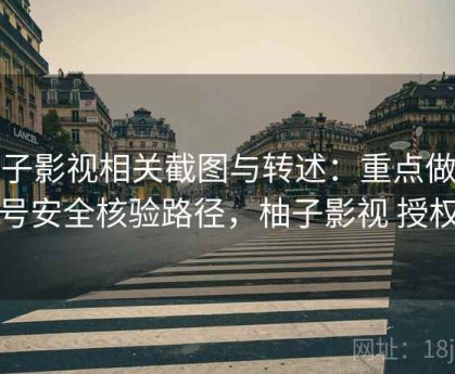 柚子影视相关截图与转述：重点做账号安全核验路径，柚子影视 授权