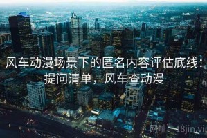 风车动漫场景下的匿名内容评估底线：提问清单，风车查动漫