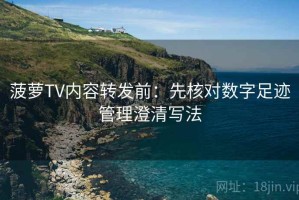 菠萝TV内容转发前：先核对数字足迹管理澄清写法