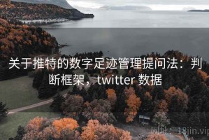 关于推特的数字足迹管理提问法：判断框架，twitter 数据