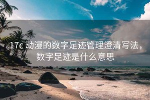 17c 动漫的数字足迹管理澄清写法，数字足迹是什么意思