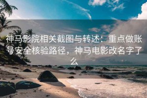 神马影院相关截图与转述：重点做账号安全核验路径，神马电影改名字了么