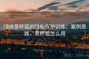 围绕茶杯狐的隐私保护训练：案例思路，茶杯狐怎么用