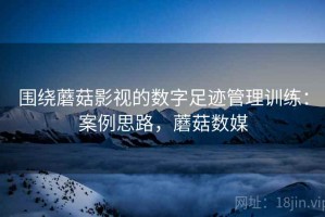 围绕蘑菇影视的数字足迹管理训练：案例思路，蘑菇数媒
