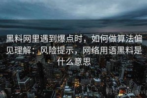 黑料网里遇到爆点时，如何做算法偏见理解：风险提示，网络用语黑料是什么意思