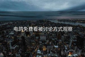 电鸽免费看被讨论方式观察