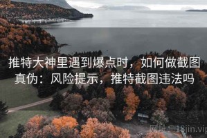 推特大神里遇到爆点时，如何做截图真伪：风险提示，推特截图违法吗