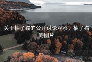 关于柚子猫的公开讨论观察，柚子猫的图片
