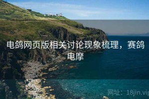 电鸽网页版相关讨论现象梳理，赛鸽电摩