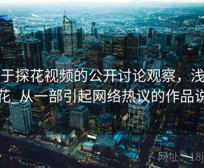 关于探花视频的公开讨论观察，浅谈探花_从一部引起网络热议的作品说起