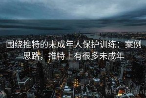 围绕推特的未成年人保护训练：案例思路，推特上有很多未成年