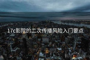 17c影院的二次传播风险入门要点