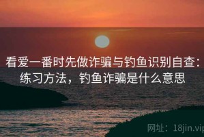 看爱一番时先做诈骗与钓鱼识别自查：练习方法，钓鱼诈骗是什么意思