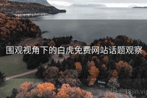 围观视角下的白虎免费网站话题观察