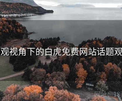 围观视角下的白虎免费网站话题观察