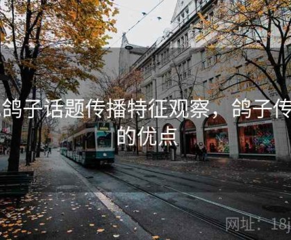 电鸽子话题传播特征观察，鸽子传信的优点
