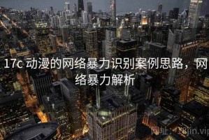 17c 动漫的网络暴力识别案例思路，网络暴力解析