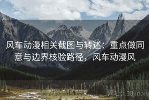 风车动漫相关截图与转述：重点做同意与边界核验路径，风车动漫风