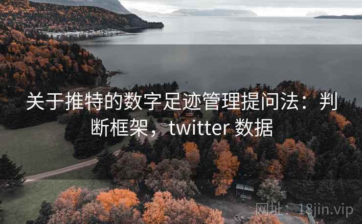 关于推特的数字足迹管理提问法：判断框架，twitter 数据