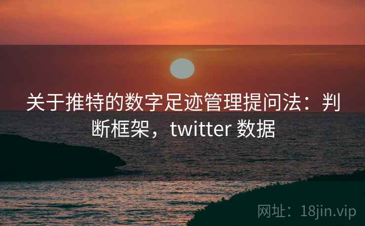 关于推特的数字足迹管理提问法：判断框架，twitter 数据