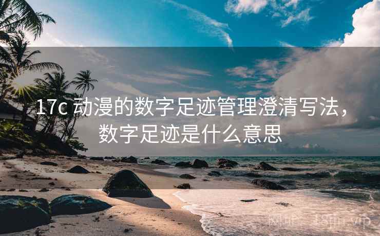 17c 动漫的数字足迹管理澄清写法,数字足迹是什么意思 17c 动漫的数字足迹管理澄清写法,数字足迹是什么意思