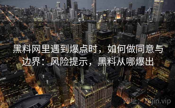 黑料网里遇到爆点时，如何做同意与边界：风险提示，黑料从哪爆出