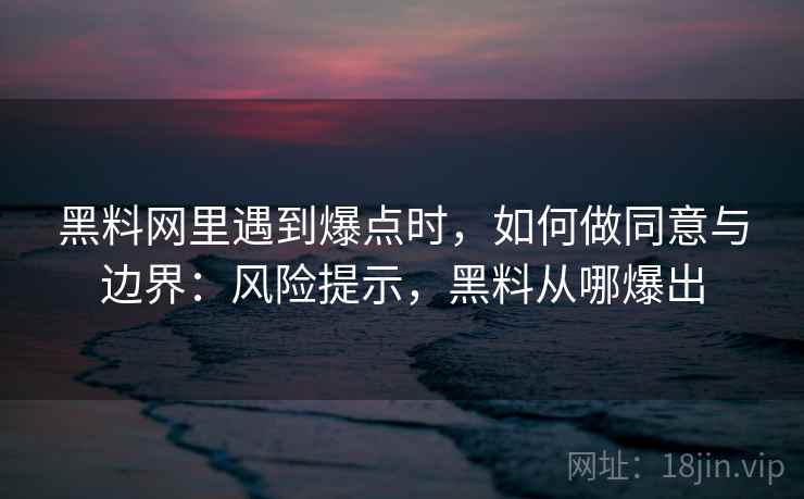 黑料网里遇到爆点时，如何做同意与边界：风险提示，黑料从哪爆出