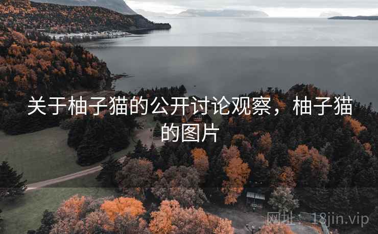 关于柚子猫的公开讨论观察，柚子猫的图片