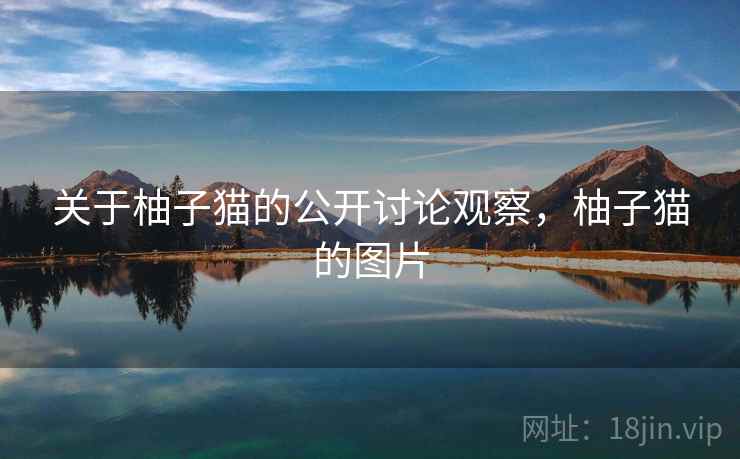 关于柚子猫的公开讨论观察，柚子猫的图片