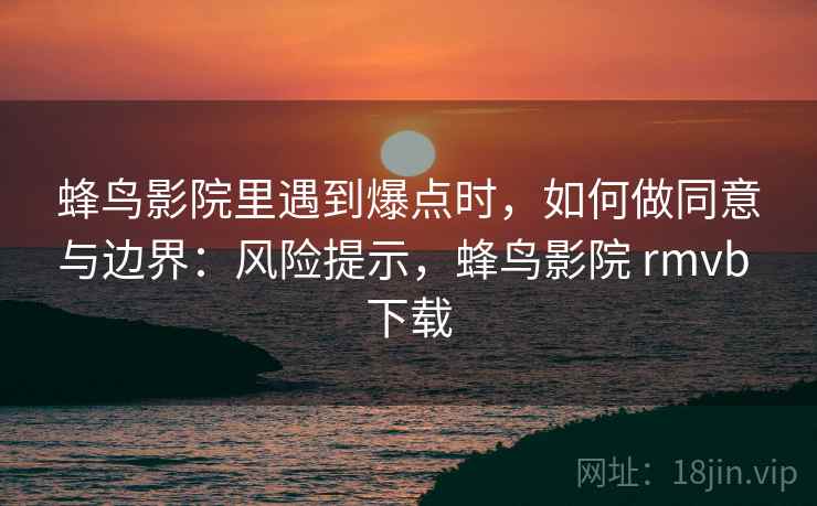 蜂鸟影院里遇到爆点时，如何做同意与边界：风险提示，蜂鸟影院 rmvb 下载