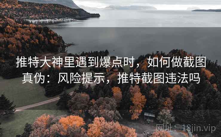 推特大神里遇到爆点时，如何做截图真伪：风险提示，推特截图违法吗