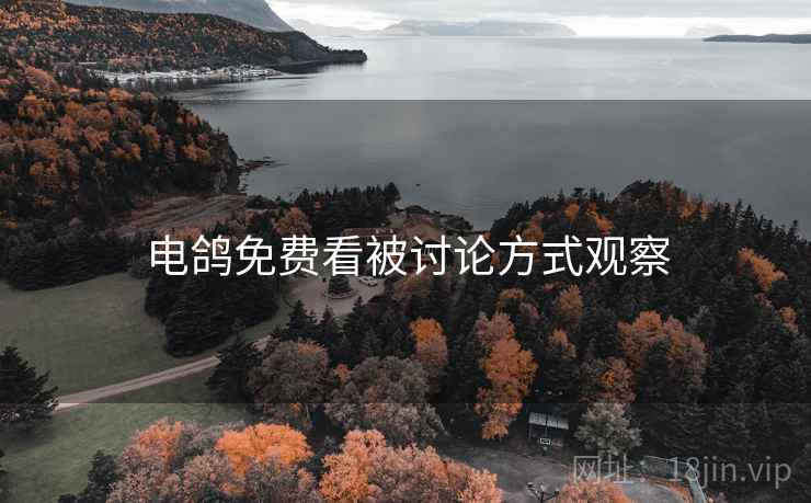 电鸽免费看被讨论方式观察