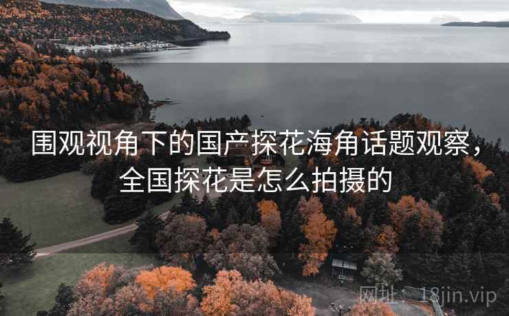 围观视角下的国产探花海角话题观察,全国探花是怎么拍摄的 围观视角下的国产探花海角话题观察,全国探花是怎么拍摄的