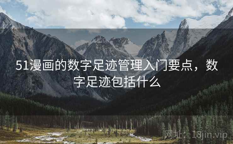 51漫画的数字足迹管理入门要点，数字足迹包括什么