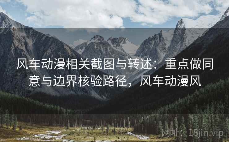 风车动漫相关截图与转述：重点做同意与边界核验路径，风车动漫风