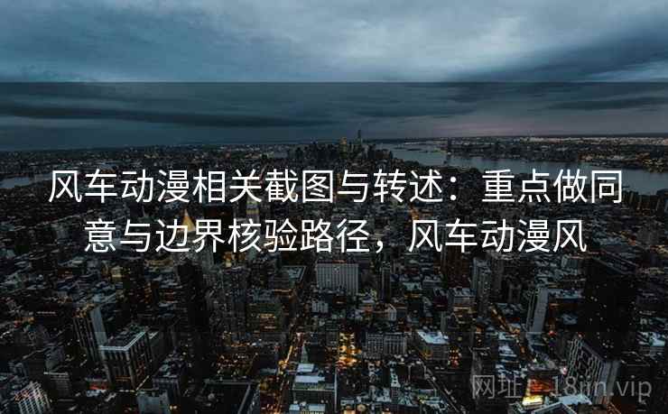 风车动漫相关截图与转述：重点做同意与边界核验路径，风车动漫风